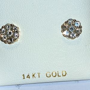 14K Yellow Gold & Diamond Earrings